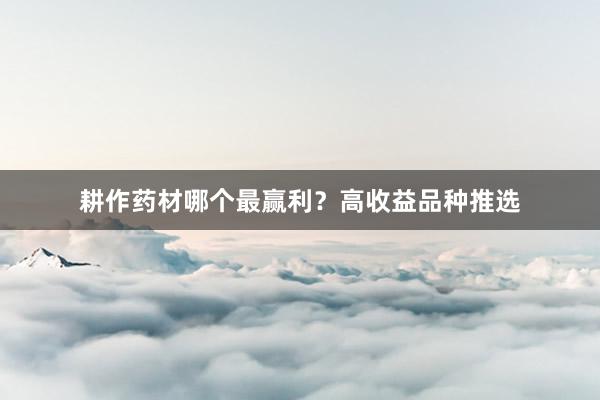 耕作药材哪个最赢利？高收益品种推选