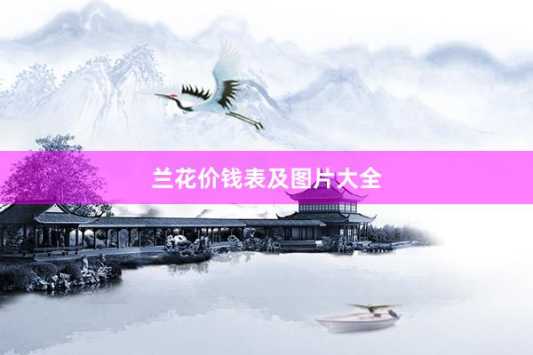 兰花价钱表及图片大全